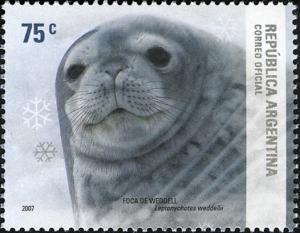 Colnect-1420-966-Weddell-Seal-Leptonychetes-weddelli.jpg