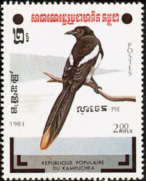 Colnect-1523-042-Oriental-Magpie-Pica-serica.jpg