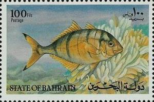 Colnect-1534-856-Golden-trevally-Gnathanodon-speciosus.jpg