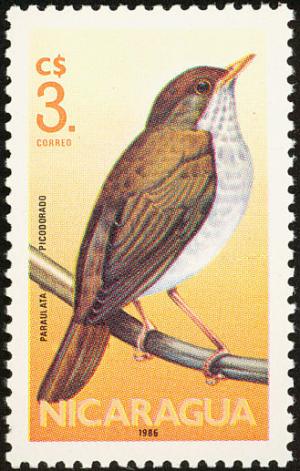 Colnect-1624-514-Orange-billed-Nightingale-Thrush-Catharus-aurantiirostris-s.jpg