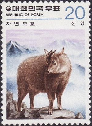 Colnect-1628-105-Long-tailed-Goral-Nemorhaedus-goral-caudatus-.jpg