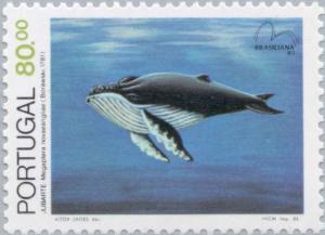 Colnect-175-716-Humpback-Whale-Megaptera-novaeangliae.jpg