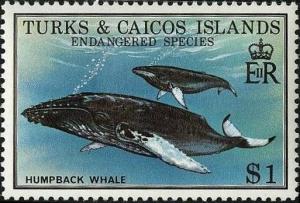 Colnect-1764-439-Humpback-Whale-Megaptera-novaeangliae.jpg