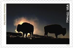 Colnect-3348-087-Yellowstone-National-Park-American-Bison-Bison-bison.jpg