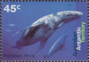 Colnect-3470-686-Humpback-Whale-Megaptera-novaeangliae.jpg