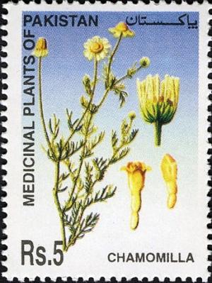 Colnect-475-772-Medicinal-Plants-of-Pakistan.jpg