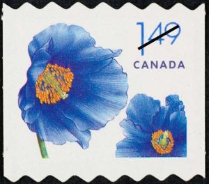 Colnect-573-884-Himalayan-blue-poppy.jpg