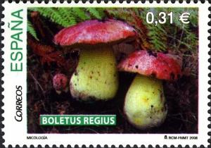 Colnect-577-130-Royal-Bolete-Mushroom.jpg