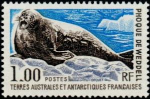 Colnect-886-004-Weddell-Seal-Leptonychetes-weddelli.jpg