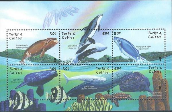 Colnect-4271-284-Whales-and-Dolphins.jpg