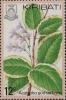 Colnect-1095-296-Acalypha-Godseffiana.jpg