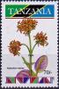 Colnect-4569-697-Kalanchoe-velutina.jpg