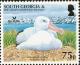 Colnect-4571-631-Wandering-Albatross-Diomedea-exulans.jpg