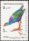 Colnect-1624-235-Gray-headed-Swamphen-Porphyrio-poliocephalus.jpg