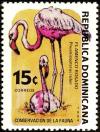 Colnect-2652-972-American-Flamingo-Phoenicopterus-ruber.jpg