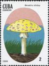 Colnect-2875-895-Amanita-citrina.jpg