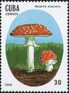 Colnect-2875-902-Amanita-Muscaria.jpg