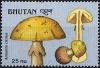 Colnect-2930-756-Amanita-citrina.jpg