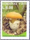 Colnect-2997-885-Amanita-caesarea.jpg