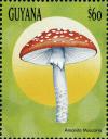 Colnect-3122-306-Amanita-muscaria.jpg