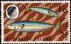 Colnect-3139-667-Yellowtail-Amberjack-Seriola-lalandei.jpg