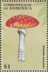 Colnect-3226-463-Amanita-muscaria.jpg