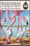 Colnect-3522-770-American-Flamingo-Phoenicopterus-ruber.jpg