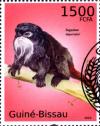 Colnect-3739-571-Emperor-Tamarin-Saguinus-imperator.jpg