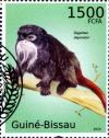 Colnect-3739-572-Emperor-Tamarin-Saguinus-imperator.jpg