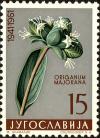 Colnect-3928-460-Marjoram-Majorana-hortensis.jpg