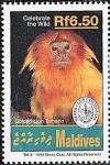 Colnect-4218-129-Golden-Lion-Tamarin-Leontopithecus-rosalia.jpg