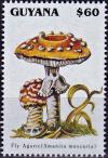 Colnect-4220-381-Amanita-muscaria.jpg