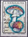 Colnect-4302-381-Amanita-muscaria.jpg