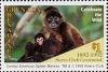 Colnect-4373-715-Central-American-spider-monkeys.jpg