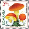 Colnect-4430-397-Amanita-caesarea.jpg