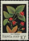 Colnect-4839-185-Stone-Bramble---Rubus-saxatilis.jpg