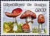 Colnect-5496-926-Amanita-muscaria.jpg