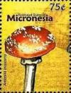 Colnect-5782-129-Amanita-muscaria.jpg