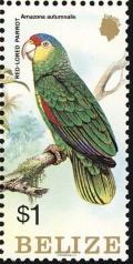 Colnect-1594-405-Red-lored-Amazon-Amazona-autumnalis.jpg