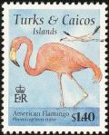 Colnect-1764-395-American-Flamingo-Phoenicopterus-ruber.jpg