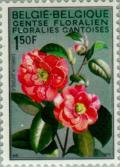 Colnect-184-985-Camelia-japonica.jpg