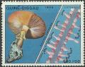 Colnect-1932-231-Amanita-caesarea.jpg