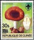 Colnect-2906-145-Amanita-robusta.jpg