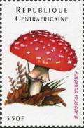 Colnect-3012-791-Amanita-muscaria.jpg