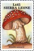 Colnect-4292-688-Amanita-muscaria.jpg