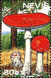 Colnect-2051-503-Amanita-muscaria.jpg