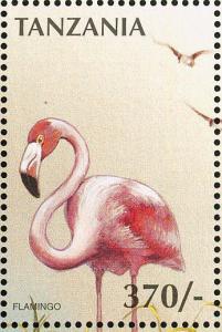 Colnect-3746-313-American-Flamingo-Phoenicopterus-ruber.jpg