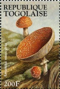 Colnect-3251-166-Amanita-muscaria.jpg