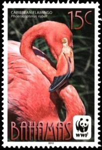 Colnect-2355-491-American-Flamingo-Phoenicopterus-ruber.jpg