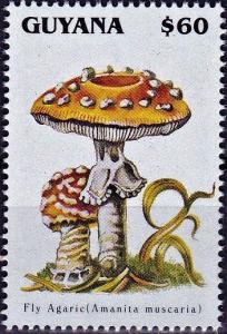 Colnect-4220-381-Amanita-muscaria.jpg